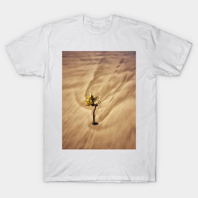 Seaweed Studies 4107 T-Shirt by goodieg